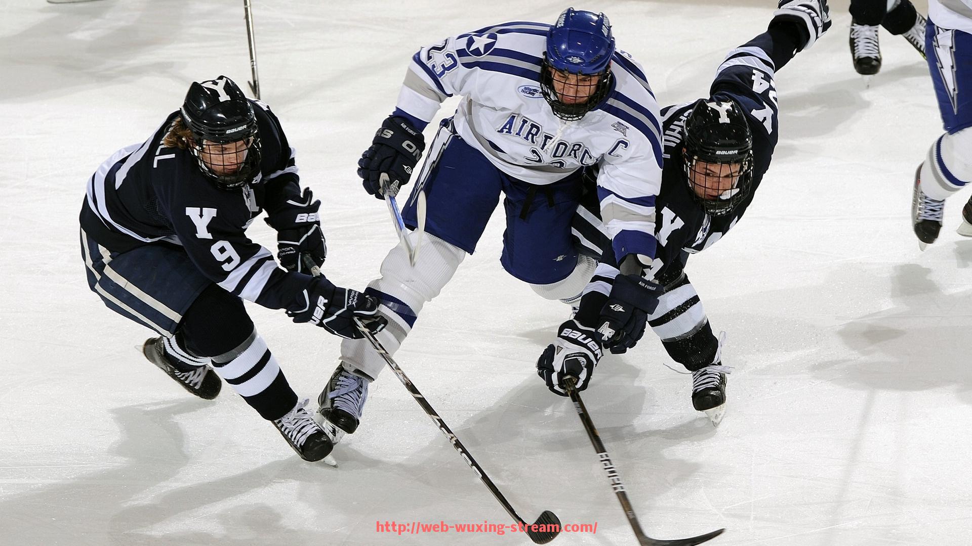 五星体育直播-广州CBA球队最新名单及球员表现分析